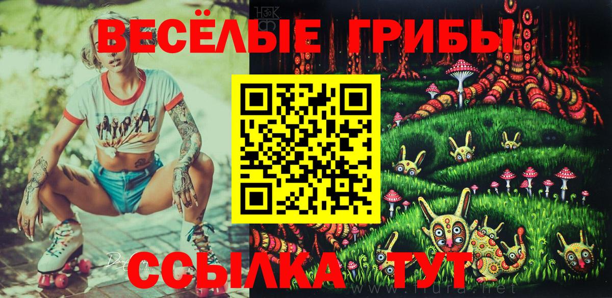 Галлюциногенные грибы мицелий Вышний Волочёк